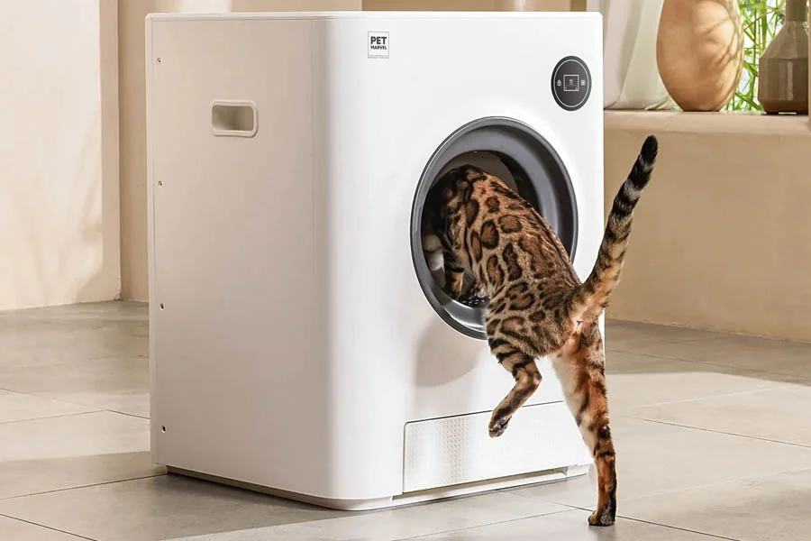 auto litter box reviews